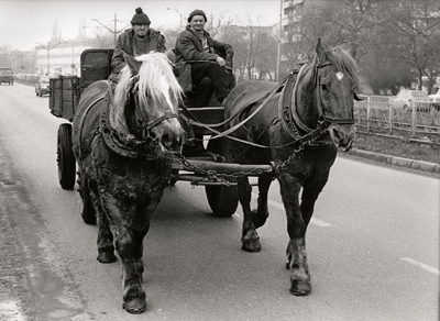 Pferdekutsche auf einer Straße, © Herbert Voll